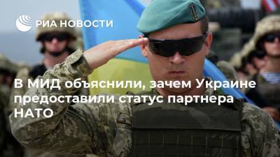 Александр Грушко - В МИД объяснили, зачем Украине предоставили статус партнера НАТО - ria.ru - Москва - Россия - Украина