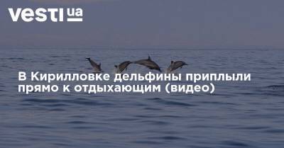 В Кирилловке дельфины приплыли прямо к отдыхающим (видео) - vesti.ua - Украина - Крым - Стамбул - Азовское Море
