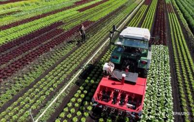 Украина берет $200 млн займа на сельское хозяйство - korrespondent.net - Украина - Аграрии