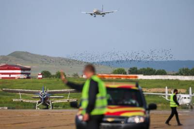 Адам Делимханов - Аэропорт Грозного возобновил все межрегиональные рейсы, отмененные из-за пандемии - etokavkaz.ru - Москва - респ. Чечня