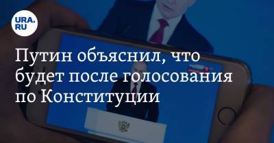 Владимир Путин - Анна Майорова - Путин объяснил, что будет после голосования по Конституции - ura.news - Россия