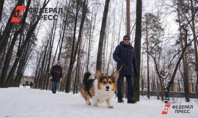 Роман Вильфанд - В Гидрометцентре рассказали, будут ли в России еще малоснежные зимы - fedpress.ru - Москва - Россия