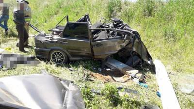 В Башкирии мужчина умер за рулем собственного автомобиля - news102.ru - Башкирия - район Янаульский
