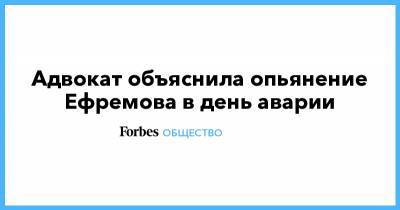 Михаил Ефремов - Сергей Захаров - Эльман Пашаев - Елизавета Шаргородская - Адвокат объяснила опьянение Ефремова в день аварии - forbes.ru