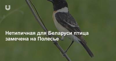 Нетипичная для Беларуси птица замечена на Полесье - news.tut.by - Россия - Белоруссия - Япония - Индия - Таиланд - Калинковичи