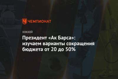 Наиль Маганов - Президент «Ак Барса»: изучаем варианты сокращения бюджета от 20 до 50% - championat.com