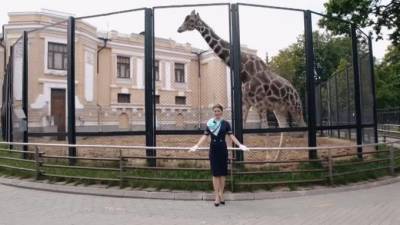 Московский зоопарк снова принимает гостей - piter.tv - Москва