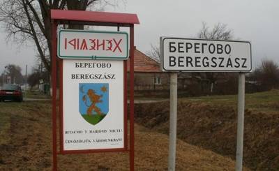 Владимир Зеленский - Виктор Орбан - УП: настоящие и выдуманные угрозы «венгерского района» на Закарпатье - geo-politica.info - Украина - Будапешт - Закарпатская обл.
