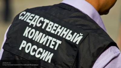 СК РФ возбудил еще одно уголовное дело против сотрудников "Норникеля" - polit.info - Россия