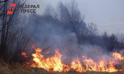 В Кургане мужчина бросил окурок и спалил более 30 га леса - fedpress.ru - с. Кетово - Зауралье