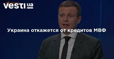 Сергей Марченко - Украина откажется от кредитов МВФ - vesti.ua - Украина