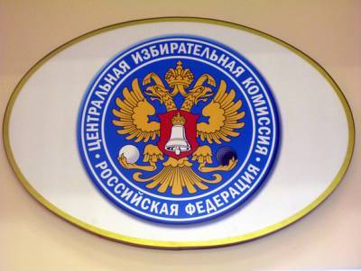Майя Гришина - В ЦИК рассказали об особом порядке голосования для болеющих граждан - rosbalt.ru