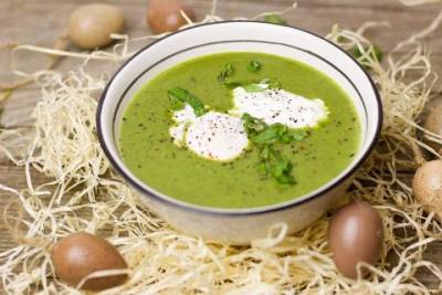 Щавелевый суп является самым полезным жидким блюдом для организма - mignews.com.ua