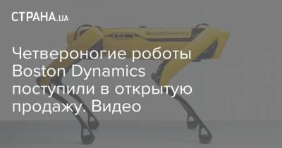 Четвероногие роботы Boston Dynamics поступили в открытую продажу. Видео - strana.ua - США - Boston