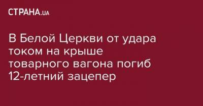 В Белой Церкви от удара током на крыше товарного вагона погиб 12-летний зацепер - strana.ua - Киевская обл. - Гсчс