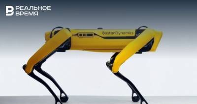 Робот-собака Boston Dynamics начал продаваться за 5 млн рублей — изначально его создавали только для военных - realnoevremya.ru - Boston