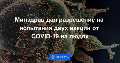 Сергей Борисевич - Минздрав дал разрешение на испытания двух вакцин от COVID-19 на людях - news.mail.ru - Россия