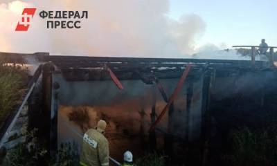 В Зауралье сожгли мост, связующий населенные пункты с районным центром - fedpress.ru - Курганская обл. - район Целинный