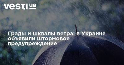 Грады и шквалы ветра: в Украине объявили штормовое предупреждение - vesti.ua - Украина