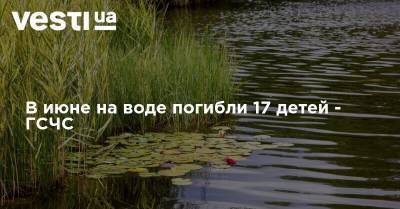 В июне на воде погибли 17 детей - ГСЧС - vesti.ua - Киев - Винницкая обл. - Конго - район Деснянский, Киев