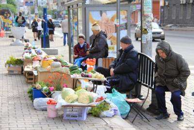 В Башкирии депутаты хотят повысить штрафы за незаконную торговлю на улицах - news102.ru - Башкирия