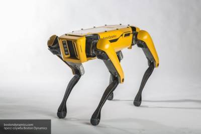 Boston Dynamics начали торговать "четвероногими" роботами - nation-news.ru - США - Boston