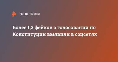 Екатерина Мизулина - Более 1,3 фейков о голосовании по Конституции выявили в соцсетях - ren.tv - Россия - Конституция