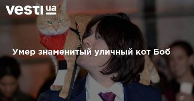 Умер знаменитый уличный кот Боб - vesti.ua