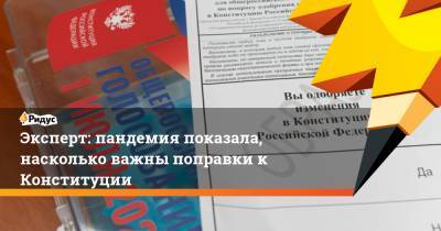 Владимир Путин - Георгий Костюк - Эксперт: пандемия показала, насколько важны поправки к Конституции - ridus.ru - Россия