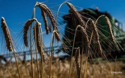 Аграрии заявили об угрозе сбору урожая - korrespondent.net - Украина - Аграрии
