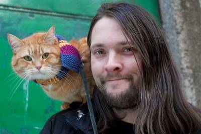 В Британии умер легендарный “Уличный кот по имени Боб” - vkcyprus.com - Англия