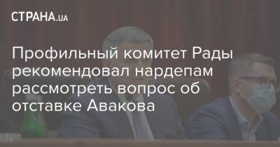 Арсен Аваков - Ян Зинкевич - Профильный комитет Рады рекомендовал нардепам рассмотреть вопрос об отставке Авакова - strana.ua - Украина