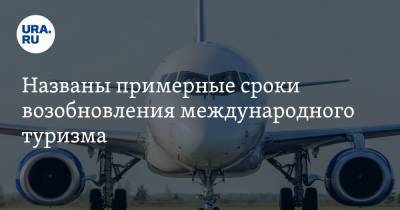 Дмитрий Горин - Названы примерные сроки возобновления международного туризма - ura.news - Россия