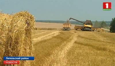 Поздравления с намолотом 3 тысяч тонн зерна принимает экипаж Витебской области - tvr.by - район Лепельский