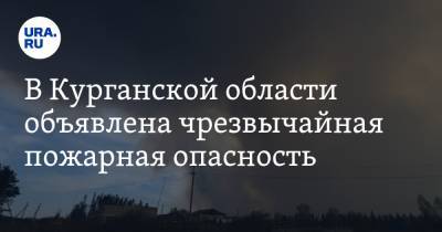 В Курганской области объявлена чрезвычайная пожарная опасность - ura.news - Курганская обл. - Курган