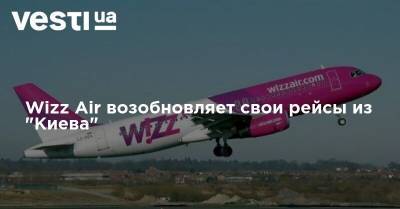 Wizz Air - Wizz Аir возобновляет свои рейсы из "Киева" - vesti.ua - Украина - Киев