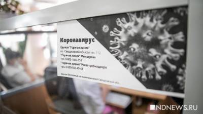 Число жертв коронавируса в Свердловской области достигло 60 человек - newdaynews.ru - Екатеринбург - Свердловская обл. - Невьянск - Первоуральск - Краснотурьинск - Дегтярск