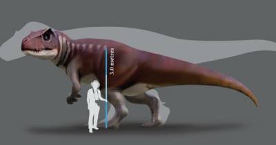В Австралии был свой гигантский хищный динозавр - popmech.ru - Австралия