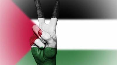 Палестина надеется обсуждение в СБ ООН планов Израиля - piter.tv - Россия - Израиль - Палестина - Иерусалим