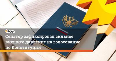 Андрей Климов - Сенатор зафиксировал сильное внешнее давление на голосование по Конституции - ridus.ru - Россия