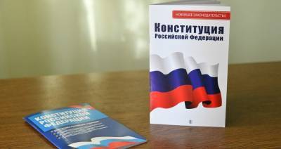 Анна Маркс - Общественные деятели рассказали о преимуществах электронного голосования - m24.ru - Москва