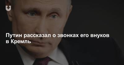 Владимир Путин - Оливер Стоун - Путин рассказал о звонках его внуков в Кремль - news.tut.by - Москва - Россия - США