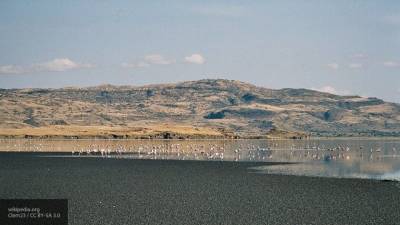 Озеро в Танзании назвали самым жутким на Земле - newinform.com - Танзания