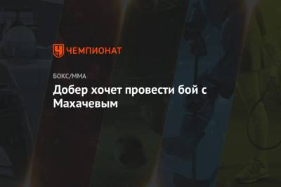 Хабиб Нурмагомедов - Ислам Махачев - Джастин Гэтжи - Дрю Добера - Добер хочет провести бой с Махачевым - championat.com