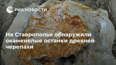 На Ставрополье обнаружили окаменелые останки древней черепахи - ria.ru - Ставрополье - Пятигорск