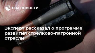 Альберт Баков - Эксперт рассказал о программе развития стрелково-патронной отрасли - ria.ru - Москва - Россия