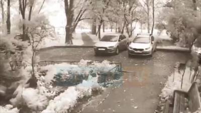 Момент падения дерева на Mitsubishi Lancer попал на видео - piter.tv - Санкт-Петербург