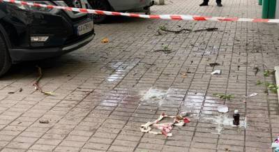 В Киеве 3-летний ребенок и его мать выпали из окна (фото, видео) - unian.net - Украина - Киев - Одесская обл. - Измаил