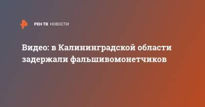 Ирина Волк - Видео: в Калининградской области задержали фальшивомонетчиков - ren.tv - Россия - Калининградская обл. - Черняховск