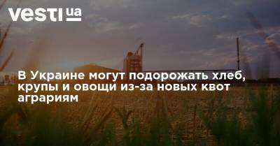 Денис Марчук - В Украине могут подорожать хлеб, крупы и овощи из-за новых квот аграриям - vesti.ua - Украина